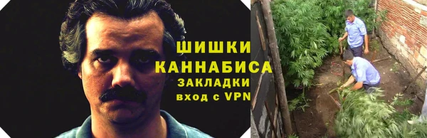 бошки Новозыбков