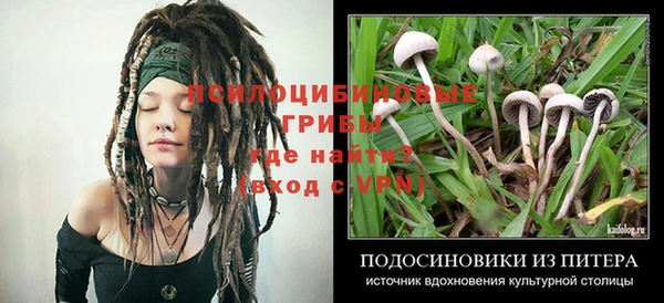 круглые Алексеевка