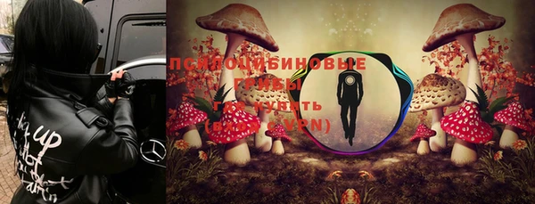 трава Алексин