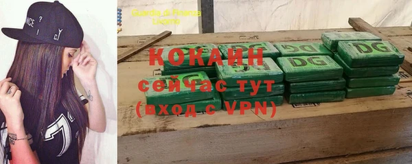бошки Новозыбков