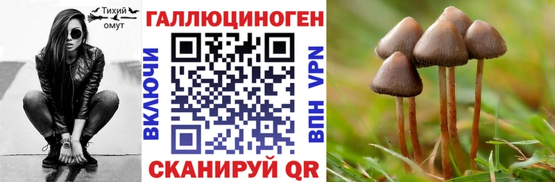 где найти   Шацк  Галлюциногенные грибы Cubensis 